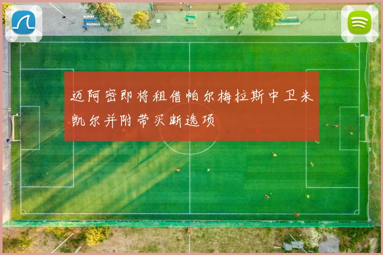 迈阿密即将租借帕尔梅拉斯中卫米凯尔并附带买断选项