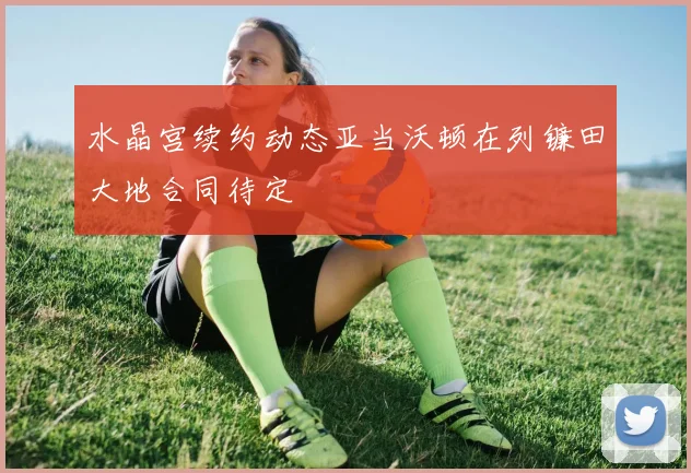 水晶宫续约动态亚当沃顿在列镰田大地合同待定