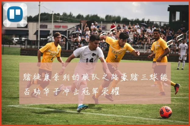 赌徒康奈利的狼队之路豪赌三球能否助华子冲击冠军荣耀