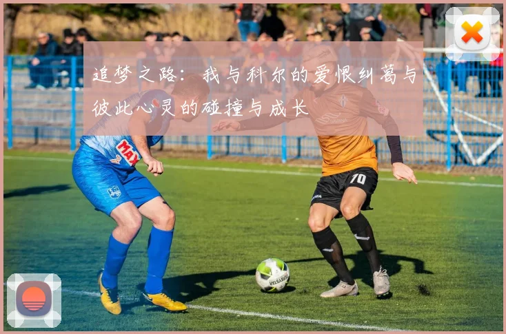 追梦之路：我与科尔的爱恨纠葛与彼此心灵的碰撞与成长