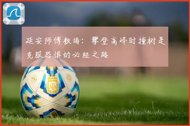 延安师傅教诲：攀登高峰时撞树是克服恐惧的必经之路