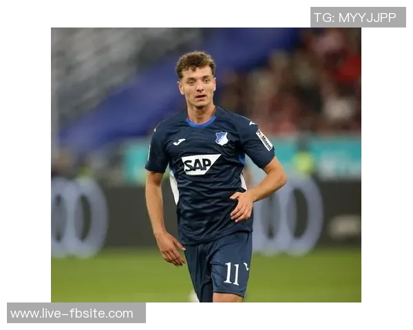 巴萨关注霍芬海姆23岁前锋阿斯拉尼本赛季表现出色进球助攻俱佳 巴萨关注霍芬海姆23岁前锋阿斯拉尼本赛季表现出色进球助攻俱佳