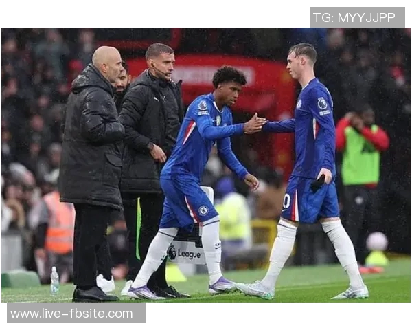 帕尔默因腹股沟伤势缺阵至11月将缺席至少四场重要比赛